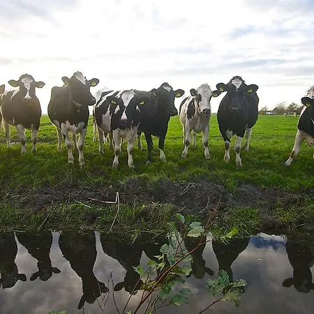 شقة Studio In A Farm Close To Amsterdam مونِكِندام